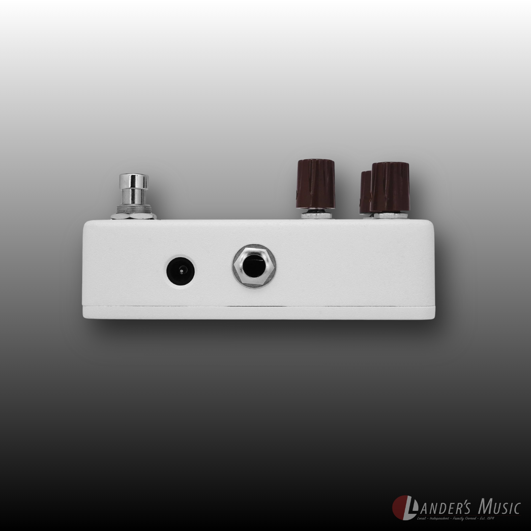 Animals Relaxing Walrus Delay Pedal