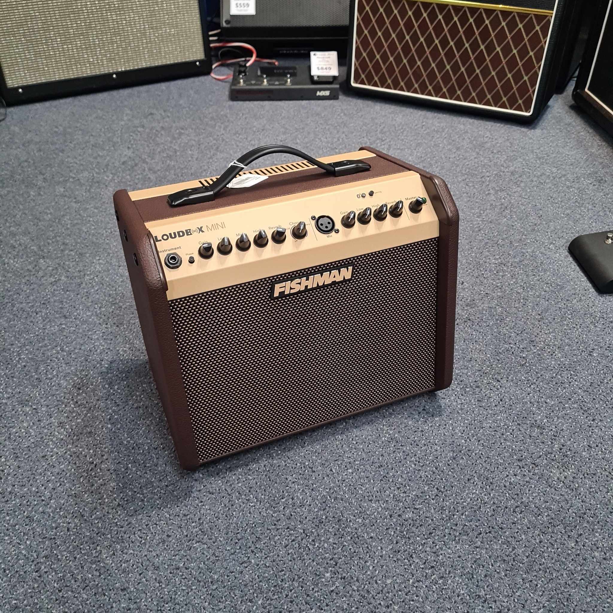 Fishman loudbox store mini bluetooth