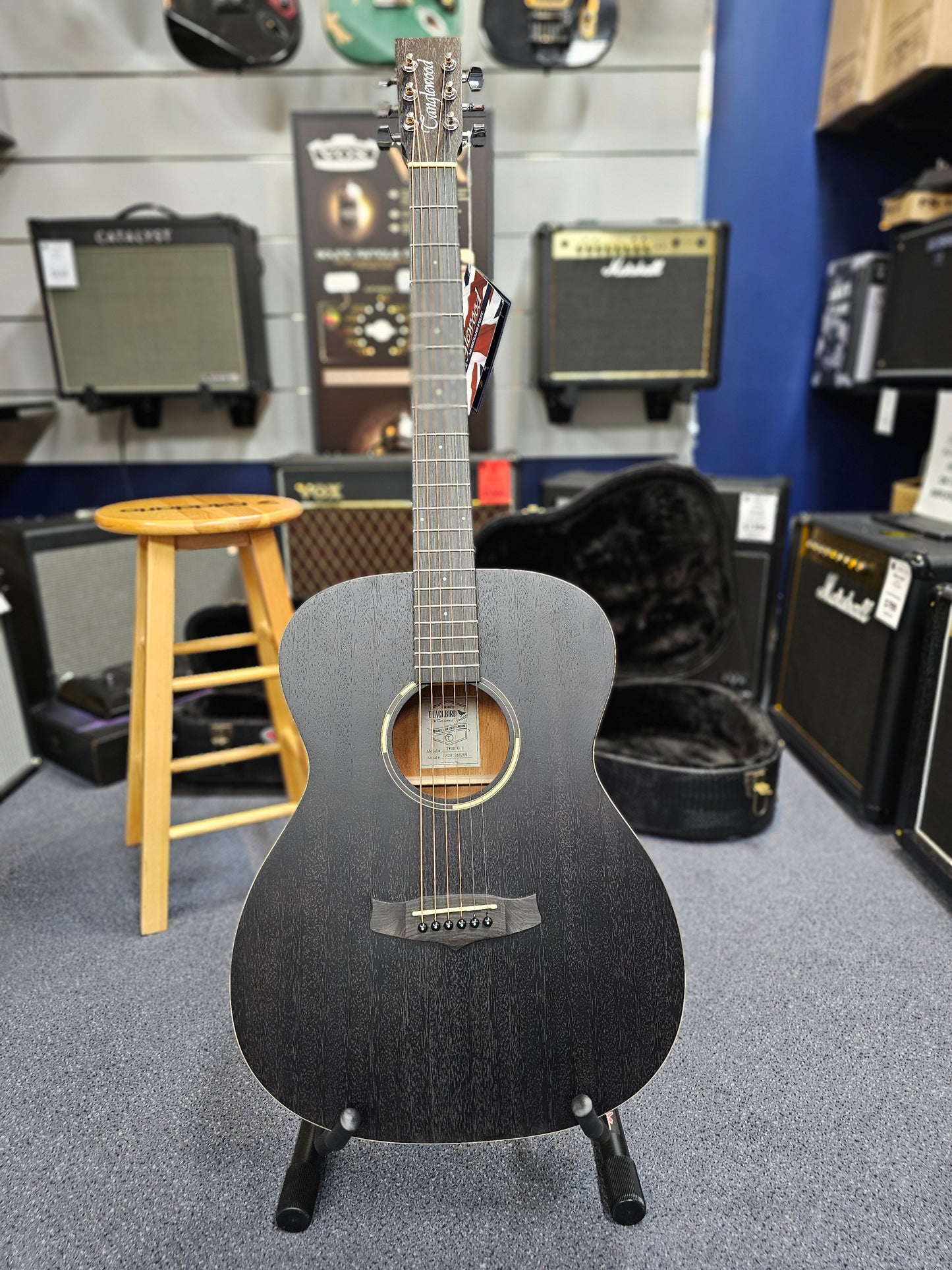 Tanglewood Blackbird Orchestra Electric/Acoustic Guitar